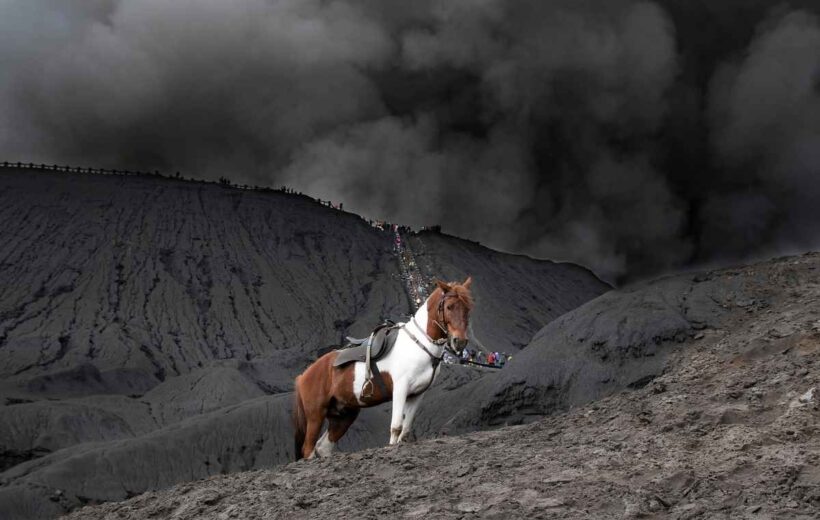 Sewa Jeep Bromo start Tosari, Pasuruan