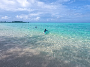 Gallery Thumbnail 10