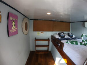 Gallery Thumbnail 7