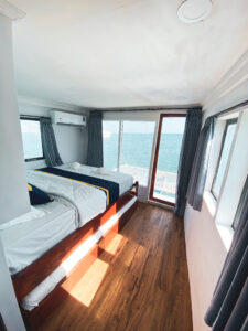 Gallery Thumbnail 6